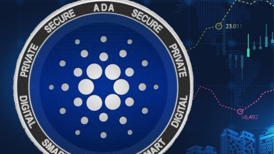 El objetivo del proyecto en la red Cardano. 